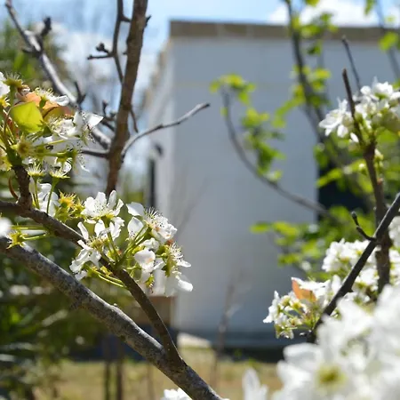 Stozza Fior Di Loto Baia * Gallipoli