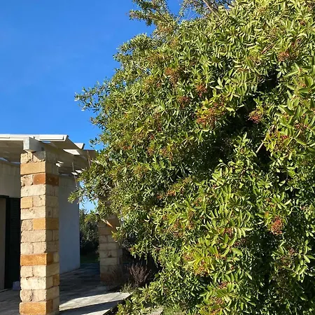 Stozza Fior Di Loto Baia