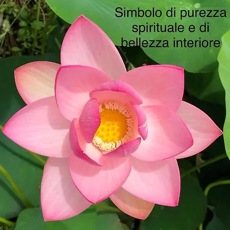 Stozza Fior Di Loto Baia בית נופש *