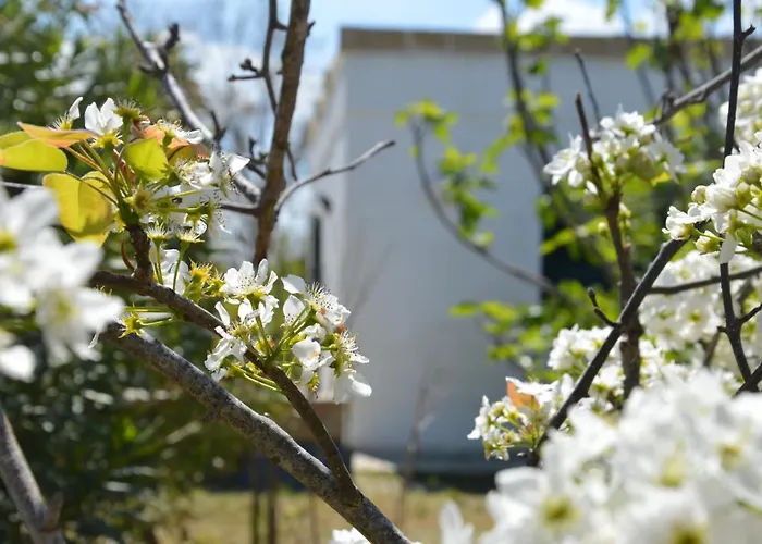 Stozza Fior Di Loto Baia * Gallipoli