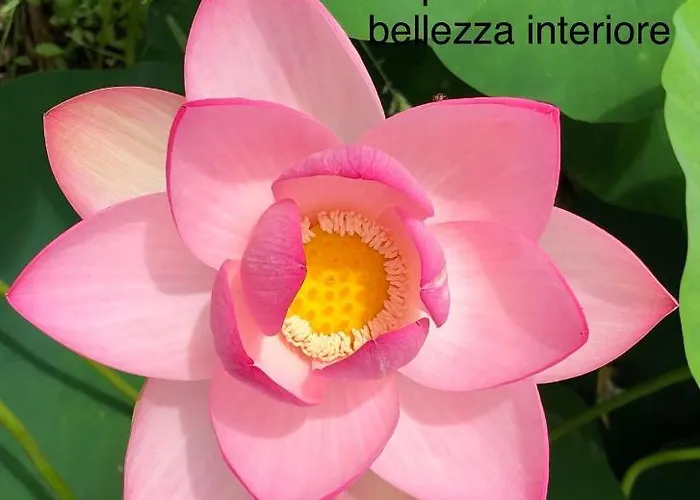 Stozza Fior Di Loto Baia Holiday home *