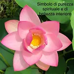 Stozza Fior Di Loto Baia Holiday home *