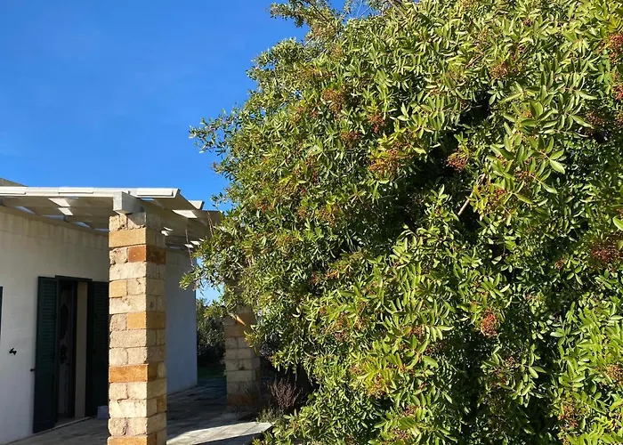 Stozza Fior Di Loto Baia